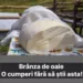 Descoperirea șocantă despre brânza de oaie: trebuie să citești asta înainte de a o mai cumpăra: Secretul ascuns care te va soca
