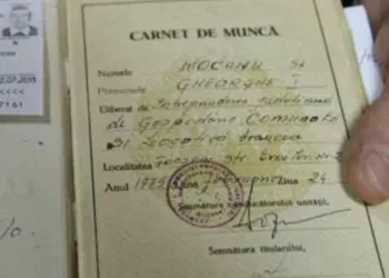 Cum poti afla ce vechime ai in munca si daca angajatorul ti-a platit contributiile