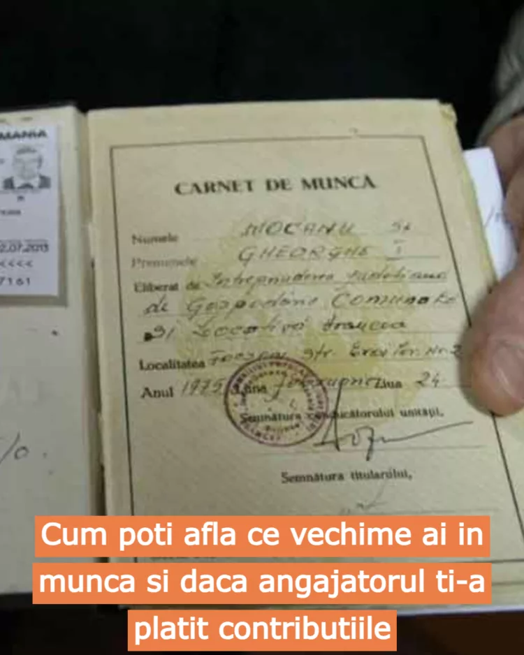 Cum poti afla ce vechime ai in munca si daca angajatorul ti-a platit contributiile