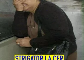 O femeie îmbrăcată simplu și cu o față de suferit, a intrat într-un supermarket! S-a apropiat de proprietar și a întrebat-o in râs dacă…