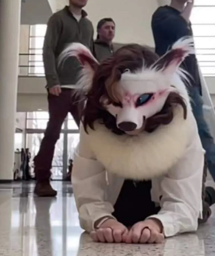 Ce sunt therienii. Au devenit din ce în ce mai prezenți în România