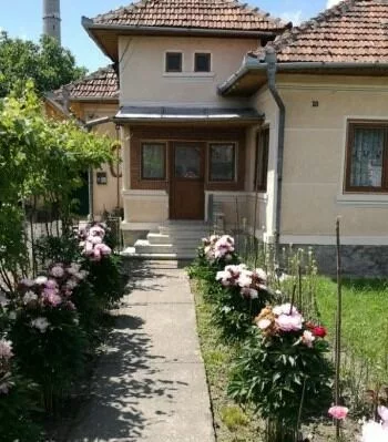 Au început controalele! S-au dat amenzi uriașe!