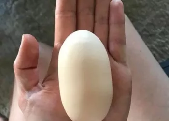 Și-a găsit găina moartă dimineața, după ce a ouat un ou cât pumnul de mare! Și-a făcut cruce când l-a spart și a văzut ce era la interior: „Astă e semn necurat!”