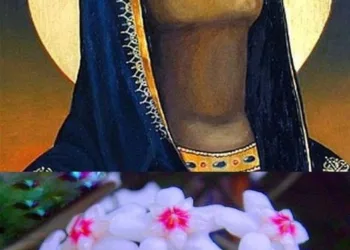 De ce este bine să ai în casă Lacrima Maicii Domnului, floarea care produce mir. Puterile speciale pe care le are această plantă