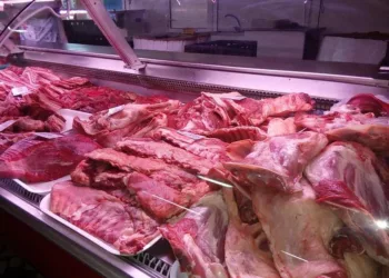 Prețul cărnii de miel a sărit în aer în 2024! Românii se tem că nu vor avea ce pune pe masa de Paște