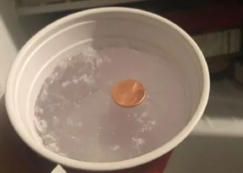 Iată de ce trebuie să pui întotdeauna o monedă în congelator înainte de a pleca de acasă! Mulți nu au crezut, dar chiar funcționează