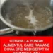Otrava la punga! Alimentul ieftin care ramane doua ore nedigerat in stomacul tau si asta nu e tot.