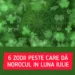 6 zodii peste care dă norocul în luna iulie. Vine cea mai bună perioadă din viața lor