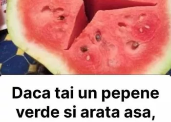 Dacă tai un pepene verde si găsești aceste crăpături în el… NU-L MANCA