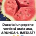 Dacă tai un pepene verde si găsești aceste crăpături în el… NU-L MANCA
