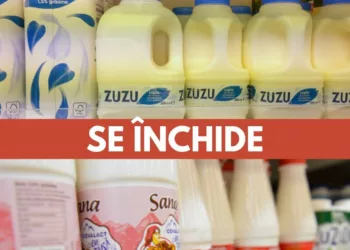 Fabrica de lactate Zuzu, Albalact, Covalact de Țară, LaDorna, Fulga, Rarăul se închide