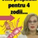 Horoscop Camelia Pătrășcanu. Triplă conjuncție în Gemeni! 4 zodii, puternic afectate