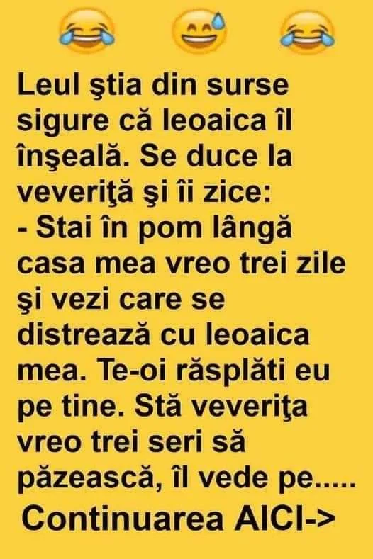Leul ştia că leoaica îl înşală. Îi zice la veveriţă: „Stai în pom şi vezi cu care mă înşală leoaica mea”