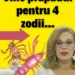 Horoscop Camelia Pătrășcanu. Triplă conjuncție în Gemeni! 4 zodii, puternic afectate VIN ZILE FOARTE GRELE