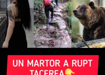 Țipetele Dianei au fost auzite de o femeie aflată în zonă. Martorul a rupt tăcerea în cazul tinerei ucise de urs în Munții Bucegi