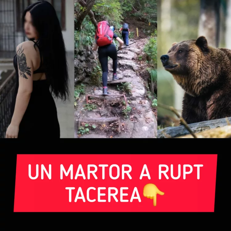 Țipetele Dianei au fost auzite de o femeie aflată în zonă. Martorul a rupt tăcerea în cazul tinerei ucise de urs în Munții Bucegi