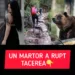 Țipetele Dianei au fost auzite de o femeie aflată în zonă. Martorul a rupt tăcerea în cazul tinerei ucise de urs în Munții Bucegi