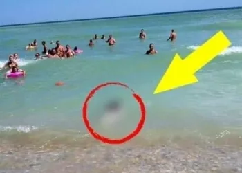 Turiştilor nu le-a venit să creadă! Ce au adus valurile la mal, în staţiunea Costineşti