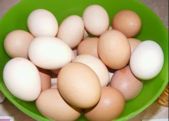 Ce să le dai la găini să mănânce pentru a produce mai multe ouă