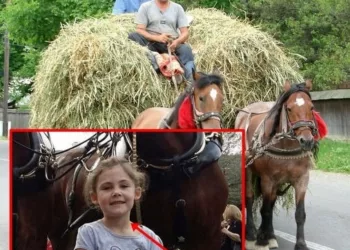 Tatăl îi face o poză fetiţei sale lângă un cal. La o privire mai atentă, nu-i vine să creadă ce vede