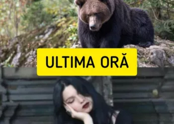 Medicii legiști aruncă bomba în cazul tinerei ucise de urs! Diana ar fi murit din altă cauză