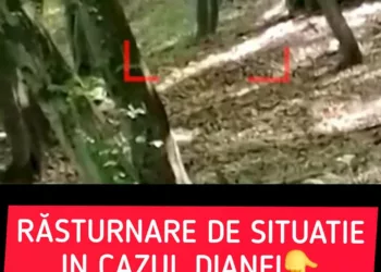  RĂSTURNARE de SITUAȚIE în cazul Dianei Maria. Tânăra ar fi murit din altă cauză