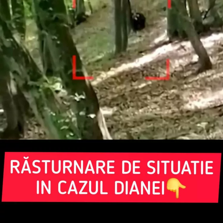 RĂSTURNARE de SITUAȚIE în cazul Dianei Maria. Tânăra ar fi murit din altă cauză