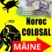 Horoscopul de vineri, 12 iulie… ce zodii dau lovitura la final de saptamana: mare noroc la bani