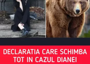 Declarația care schimbă totul în cazul Dianei, tânăra ucisă de urs pe Jepii Mici