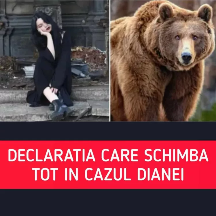 Declarația care schimbă totul în cazul Dianei, tânăra ucisă de urs pe Jepii Mici