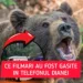 „Pe telefonul ei există niște filmări edificatoare……”