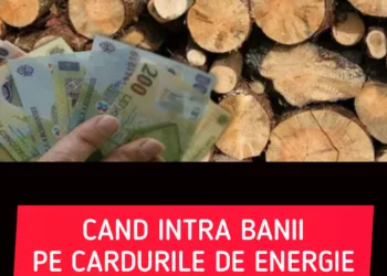 Vouchere lemne 2024. Când intră banii pe cardurile de energie