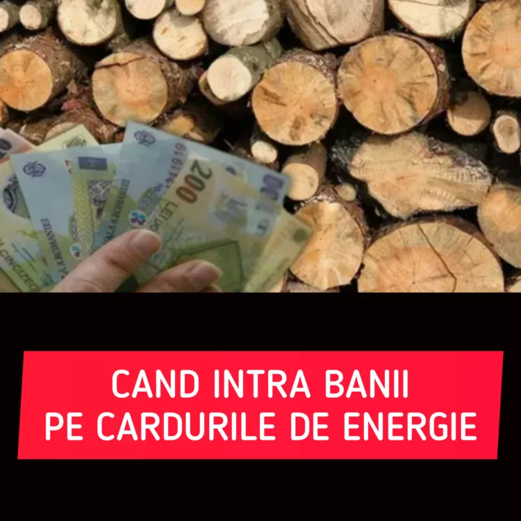 Vouchere lemne 2024. Când intră banii pe cardurile de energie