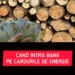 Vouchere lemne 2024. Când intră banii pe cardurile de energie