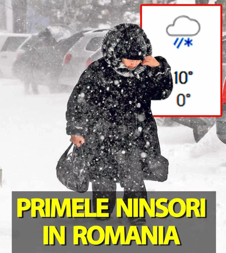 Ninge peste câteva săptămâni în România!