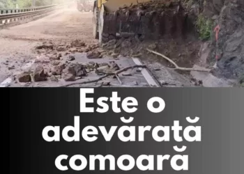 Ce a apărut în urma defrișărilor de pe Valea Oltului. Este o adevărată comoară pentru țara noastră