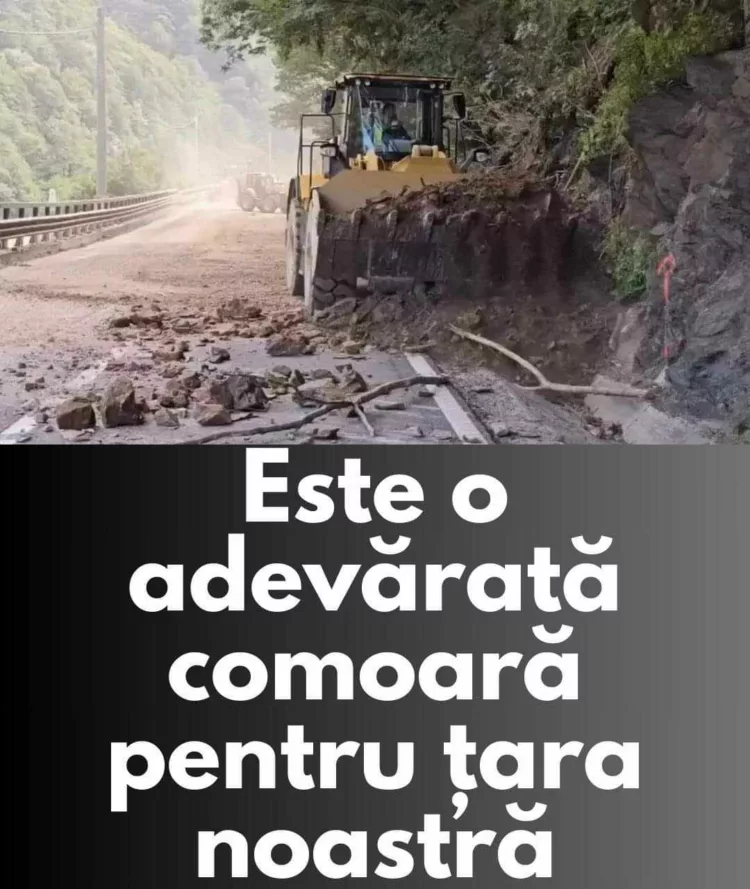 Ce a apărut în urma defrișărilor de pe Valea Oltului. Este o adevărată comoară pentru țara noastră