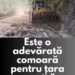 Ce a apărut în urma defrișărilor de pe Valea Oltului. Este o adevărată comoară pentru țara noastră