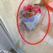 După ce TURIȘTII au ELIBERAT camera, camerista s-a apucat de curățenie