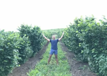 Recolta bogată cu care Ciprian a dat lovitura pe timp de secetă. A reuşit să adune 14.000 kg şi vinde mia de grame cu 50 de lei