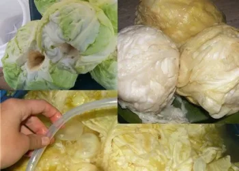 Greșeala pe care o fac toate GOSPODINELE când pun VARZA la murat! Nu mai faceți asta