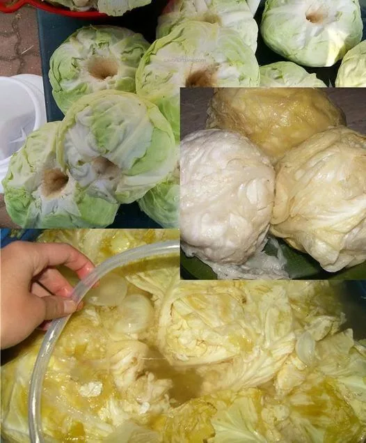 Greșeala pe care o fac toate GOSPODINELE când pun VARZA la murat! Nu mai faceți asta