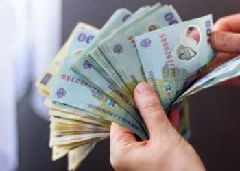 Locul de muncă unde poți câștiga 600 de lei pe zi. Angajatorul oferă cazare. Candidații nu au nevoie de studii superioare