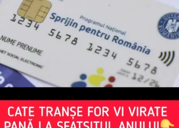 Vouchere pentru alimente 2024: