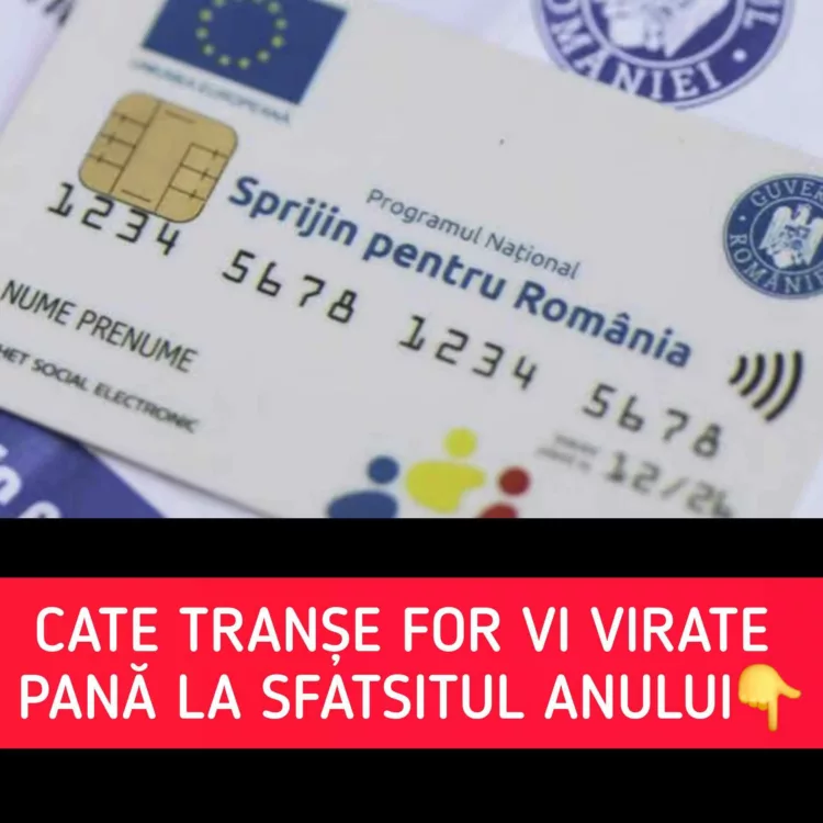 Vouchere pentru alimente 2024: