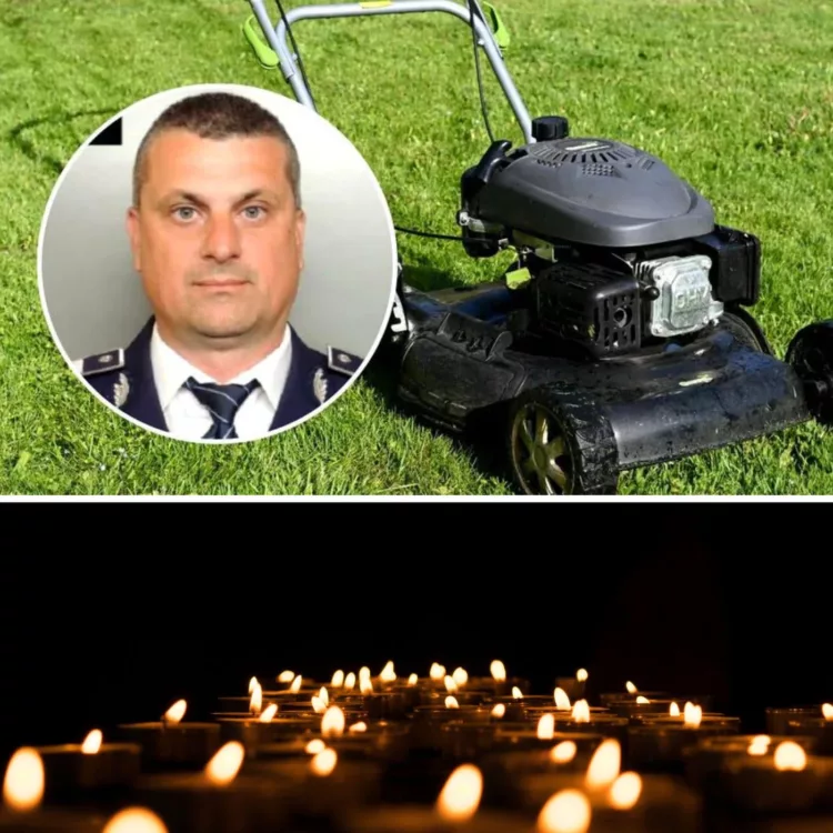 S-a dus să tundă iarba din curte pentru a-i face o bucurie soției, și și-a găsit sfârșitul!