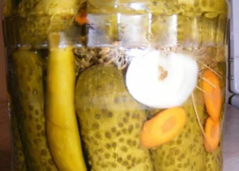 Cum să pui castraveți la murat ca să nu se mai înmoaie niciodată! Așa vei avea murături rezistente la iarnă