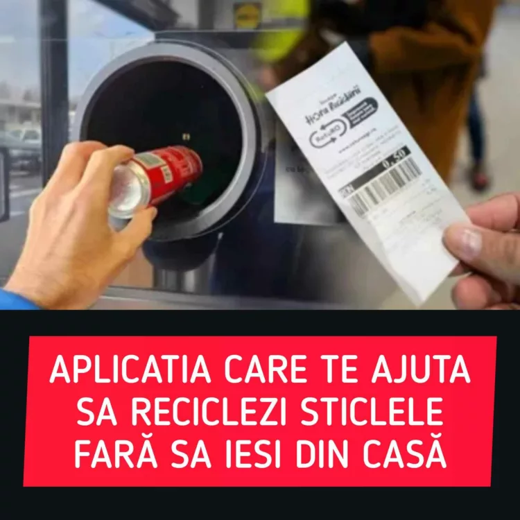Aplicația care te ajută să reciclezi fără să ieși din casă. Ambalajele SGR sunt luate direct de la domiciliu și duse la aparatele de colectare