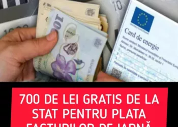 700 de lei GRATIS de la stat pentru plata facturilor la iarnă. Când şi în ce condiţii se alimentează cardurile de energie