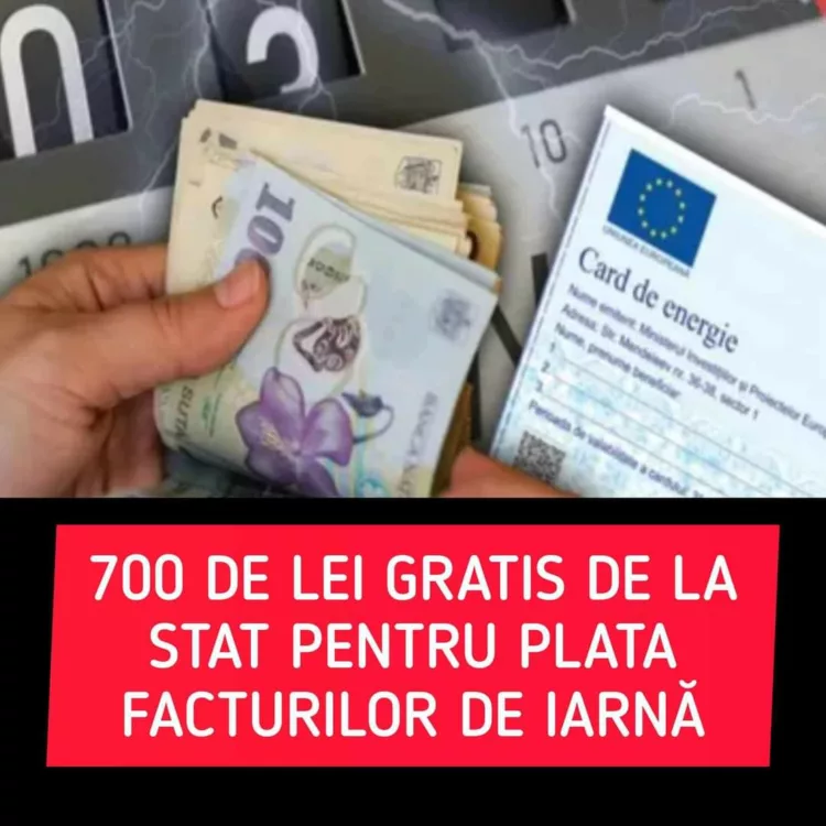 700 de lei GRATIS de la stat pentru plata facturilor la iarnă. Când şi în ce condiţii se alimentează cardurile de energie